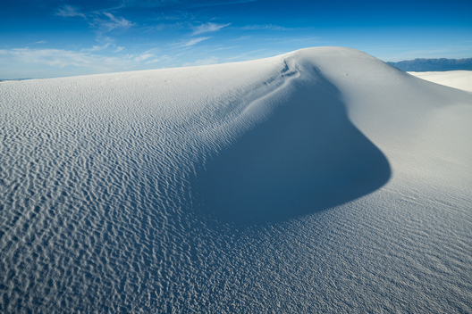 Nature and conservation photography from Jay Brittain