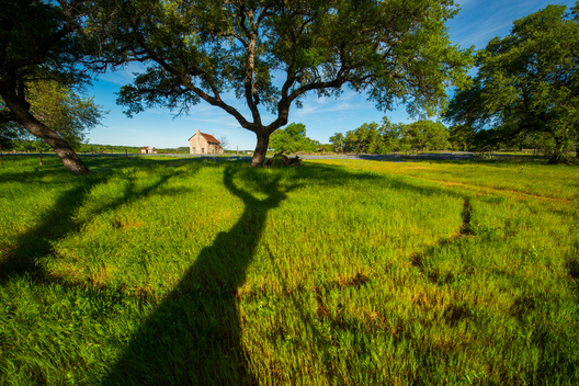 Nature and conservation photography from Jay Brittain