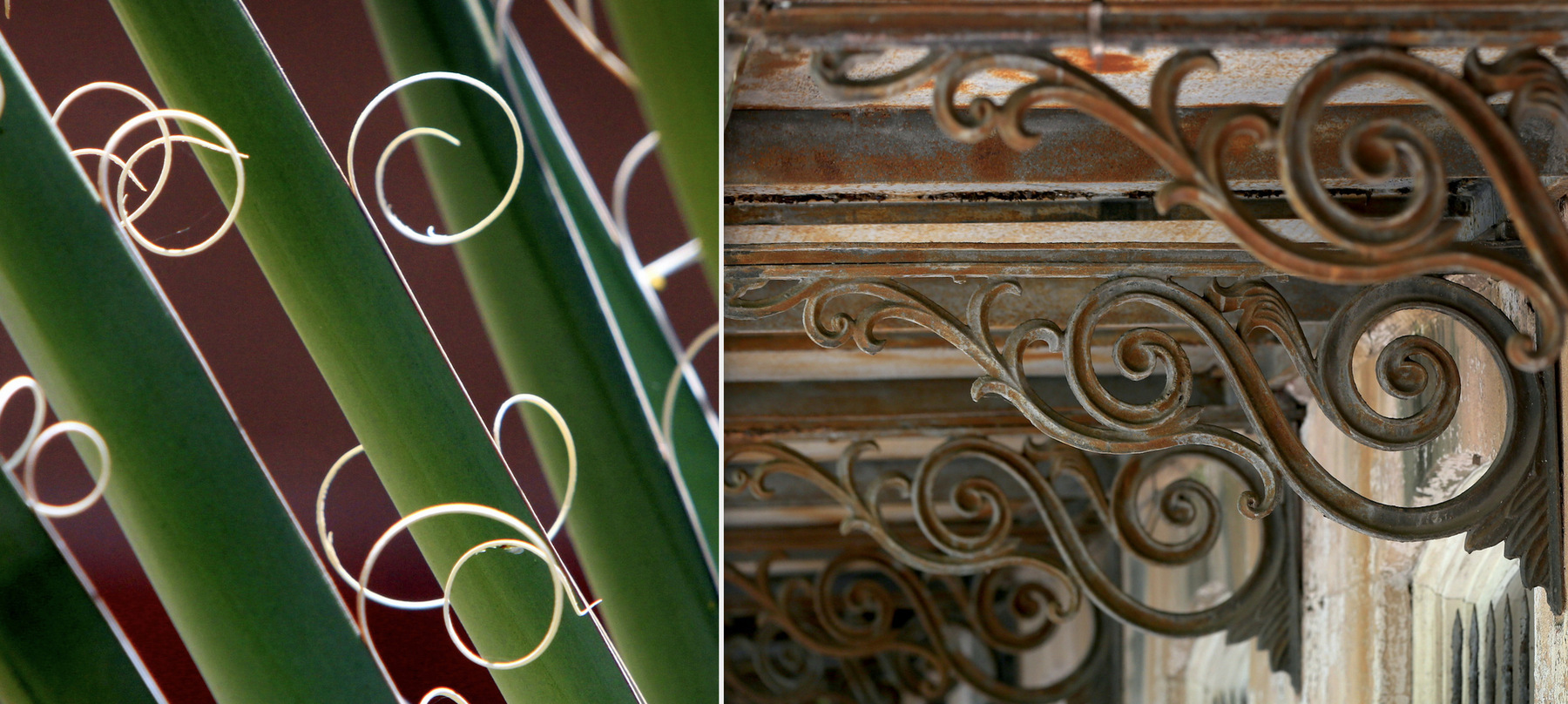 Tuscon, AZ / Savanah, GA