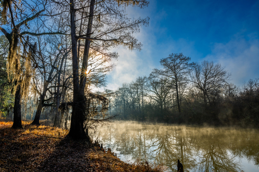Nature and conservation photography from Jay Brittain